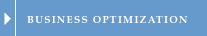 Buiness Optimization